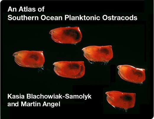 An Atlas of Southern Ocean Planktonic Ostracods
